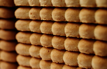 Biscuit Texture Closeup Details