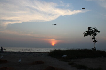 Obraz premium sunset on the beach