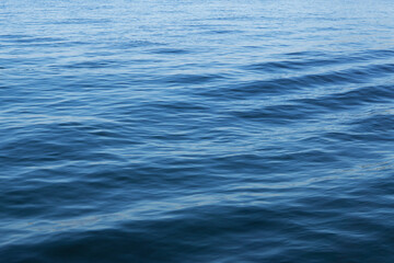 Naklejka premium sea water with sun reflections