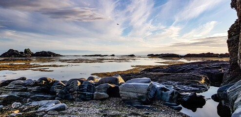 view of the coast of the river