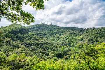 Scenery of Huangshanlu Forest Park in Nansha, Guangzhou, China