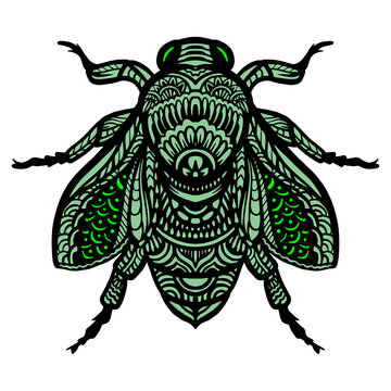 Flies zentangle isolated on white background. vector illustration