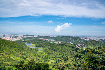 Fototapeta na wymiar Huangshanlu Forest Park, Nansha, Guangzhou, China