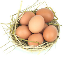 Eggs in the basket Isolated on White Background.