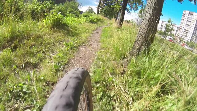 A cyclist rides at high speed through a park along a narrow path between trees and thick grass in sunny weather.