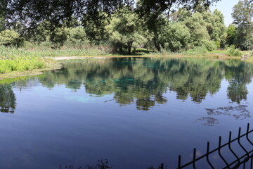 reflection of trees in the lake