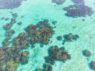 Aerial top down people snorkeling on coral reef tropical caribbean sea, turquoise blue water. Indonesia Wakatobi archipelago, marine national park, tourist diving travel destination