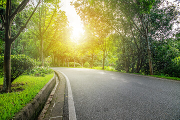 Fototapeta na wymiar Greenway in Huangshanlu Forest Park, Nansha, Guangzhou, China