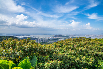 Huangshanlu Forest Park, Nansha, Guangzhou, China