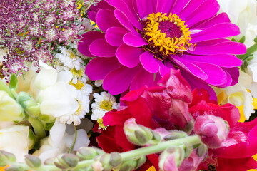 Flowers recently fresh cut and displayed in a florist window with a burst of color and smells.