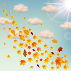 Fototapeta na wymiar Leaf fall, yellow leaves fly in the blue sky, clouds and the sun, autumn landscape.