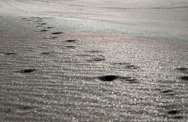 footprints on the sand