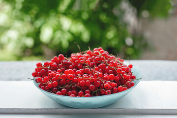 Ripe red currant berries in a bowl close up. Fresh red berries on a windowsill. The redcurrant can assist in red blood cell formation.