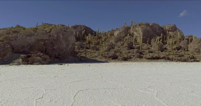 Famous Incahuasi Island also Known as Fishers Island in the Middle of Uyuni Salt Flat in Bolivia
