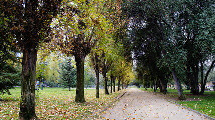 Fototapeta premium SONY DSC