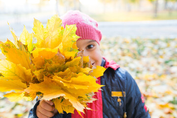 Cheerful little girl holding yellow maple leaves in her hands while walking in the autumn sunny...