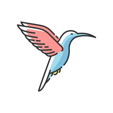 hummingbird flying with pink wings clip art preview