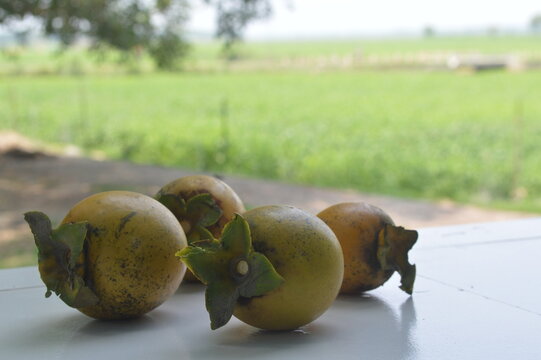 Fruit on the ground