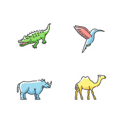 Exotic animals RGB color icons set. Tropical fauna, diverse african wildlife. Little hummingbird, camel, alligator and rhinoceros. Isolated vector illustrations