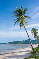 Coconut trees on sand beach and blue sky with clouds, Laem Haad Beach on Koh Yao Yai, Phang Nga province, Thailand