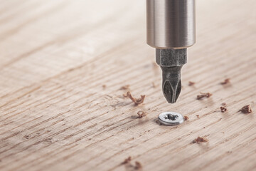screwdriver screw in a wood oaks plank