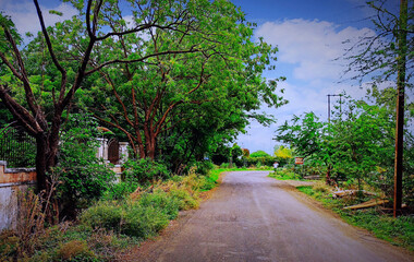 Nature, Road......