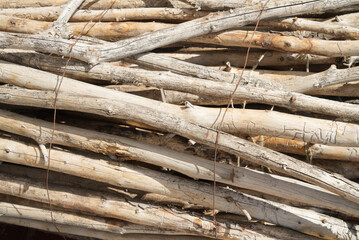 bunch of firewood close up, dry wood