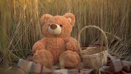 A teddy bear is sitting in a wheat field next to a basket.