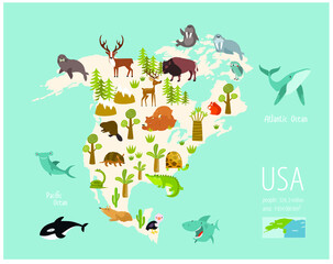 Vector map of America with animals. Cartoon wild animals. Poster for children. Training. Education. Wallpaper for children. Medvel, deer, beaver, coyote, turtle, armadillo, whale
