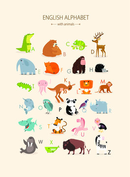Vector english alphabet with animals for children. educational poster with cute animals. Cartoon animals: crocodile, bears, chameleon, elephant, tiger, lion, fox, kangaroo, panda, monkey, unicorn
