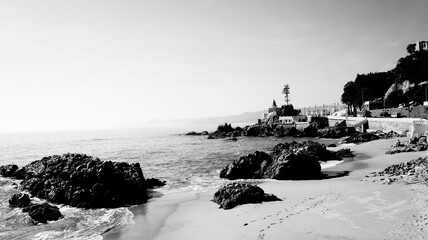 SONY DSC