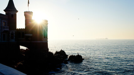 SONY DSC