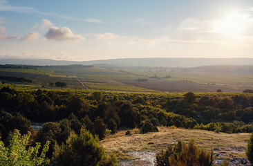 Naklejka premium Green mountain valley view. Summer nature landscape.