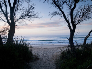 Exotic deserted beach with rugged mountains and forest