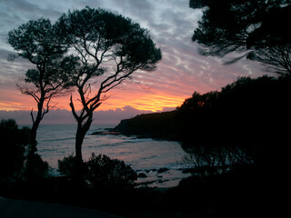 Dramatic colorful sunrise over the ocean with trees silhouetted in foreground.