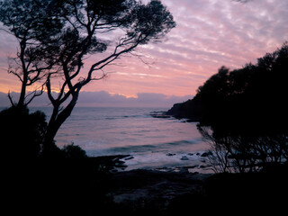 Fototapeta na wymiar Dramatic colorful sunrise over the ocean with trees silhouetted in foreground.