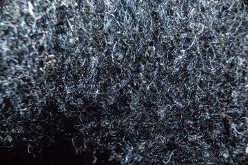 Close-up fullscreen macro with shallow depth of field for a hairy texture. Graphic design.