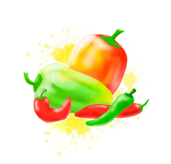Vibrant colorful peppers illustration with watercolor splashes  isolated on white background. Diffrent types of peppers: bell pepper, banana pepper, chili pepper, thai pepper
