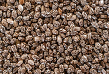 Fullscreen macro closeup with shallow depth of field of chia seeds. Texture. Graphic design.