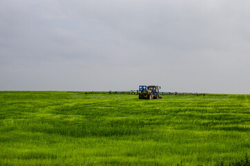 Fototapeta na wymiar Green agricultural field with cereals, which are processed by a tractor