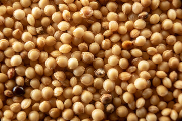 Fullscreen macro closeup with shallow depth of field of amaranth seeds. Texture. Graphic design.