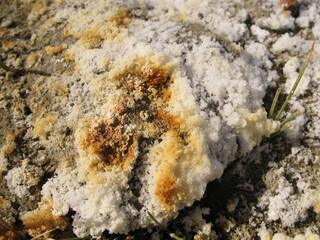 Close up of salt crystals on the ground near saline soda lake, Mono Lake, California, USA