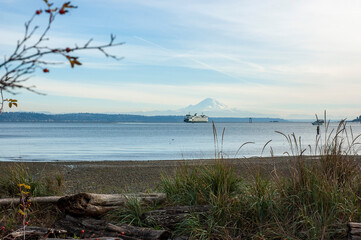 View of Mount Rainier, Puget Sound, and ferry from driftwood beach in Hawley Cove, Bainbridge Island