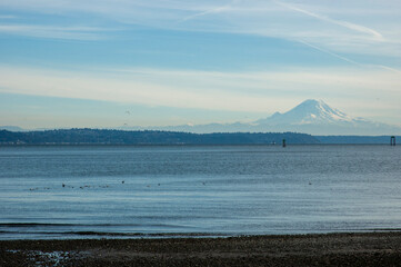 Mount Rainier and Puget Sound as seen from Hawley Cove on Bainbridge Island, Pacific Northwest scenery