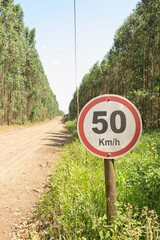 Coutry road in a eucalyptus forest farm with an speed limit sign at 50 km/h