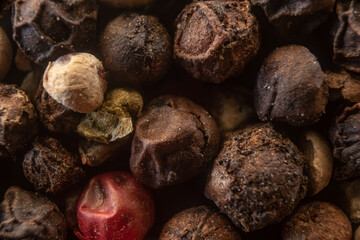 Fullscreen macro closeup with shallow depth of field of unmilled red, green, white and black peppercorns