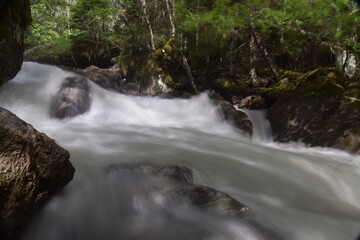 Fototapeta premium courant