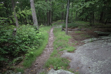 Fototapeta na wymiar A trail from chimney rock