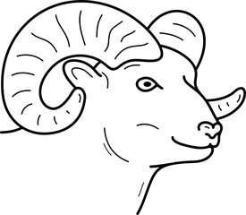 Rocky mountain bighorn sheep