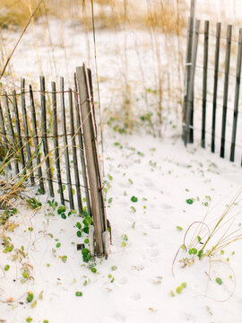 Broken fencing on dunes at the beach